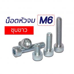 SKI - สกี จำหน่ายสินค้าหลากหลาย และคุณภาพดี | Socket Cap Screw น็อตสกรูหัวจมชุบ M6 x 10 (น็อตยึดรางคอริ่ง)