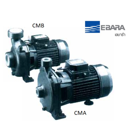 SKI - สกี จำหน่ายสินค้าหลากหลาย และคุณภาพดี | EBARA CMB-1.50T (1.5HPx3สาย) 2นิ้วx2นิ้ว ปั๊มหอยโข่ง น้ำมาก,ส่งสูง ใบพัดเดี่ยว